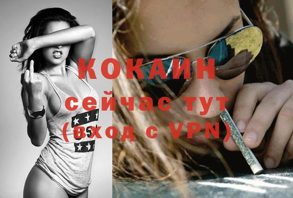 спайс Богданович