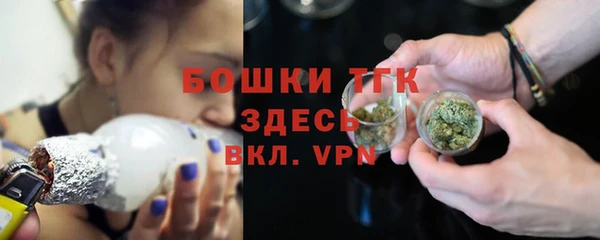 спайс Богданович