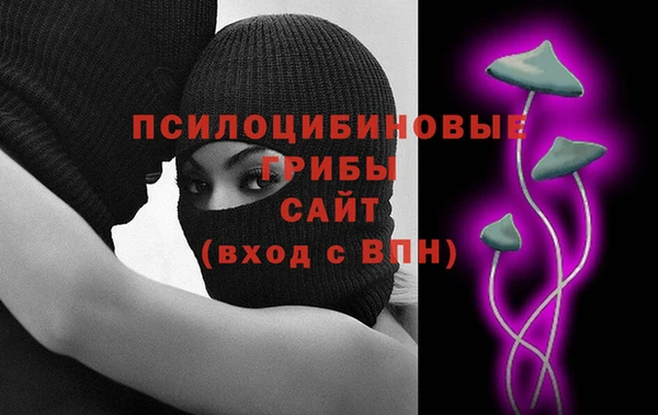 спайс Богданович