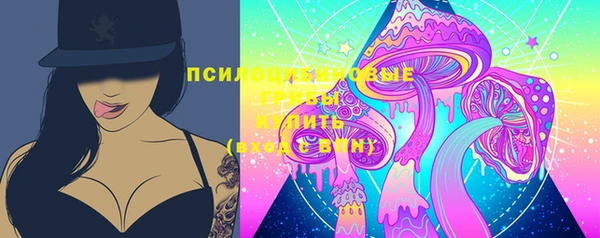 спайс Богданович