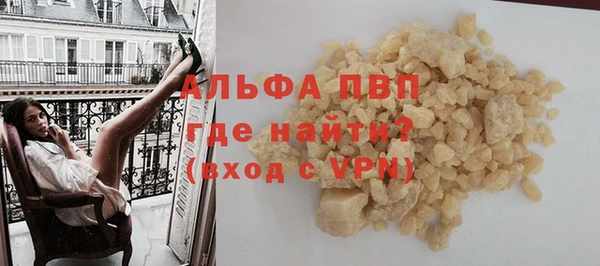 спайс Богданович