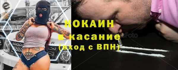 таблы Богородицк