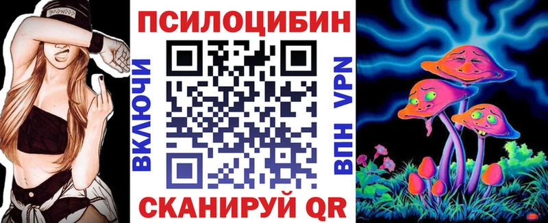 Галлюциногенные грибы Psilocybine cubensis  цены   Духовщина 
